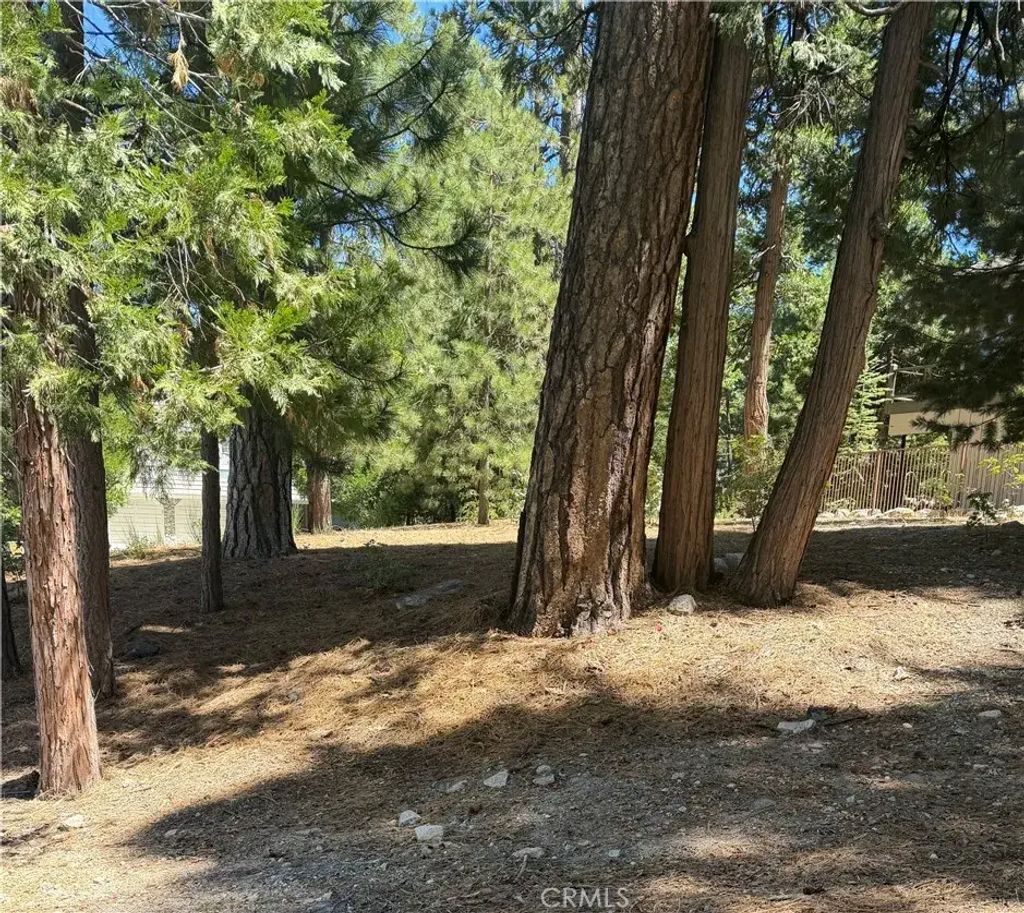 27586 Meadow Bay, Lake Arrowhead