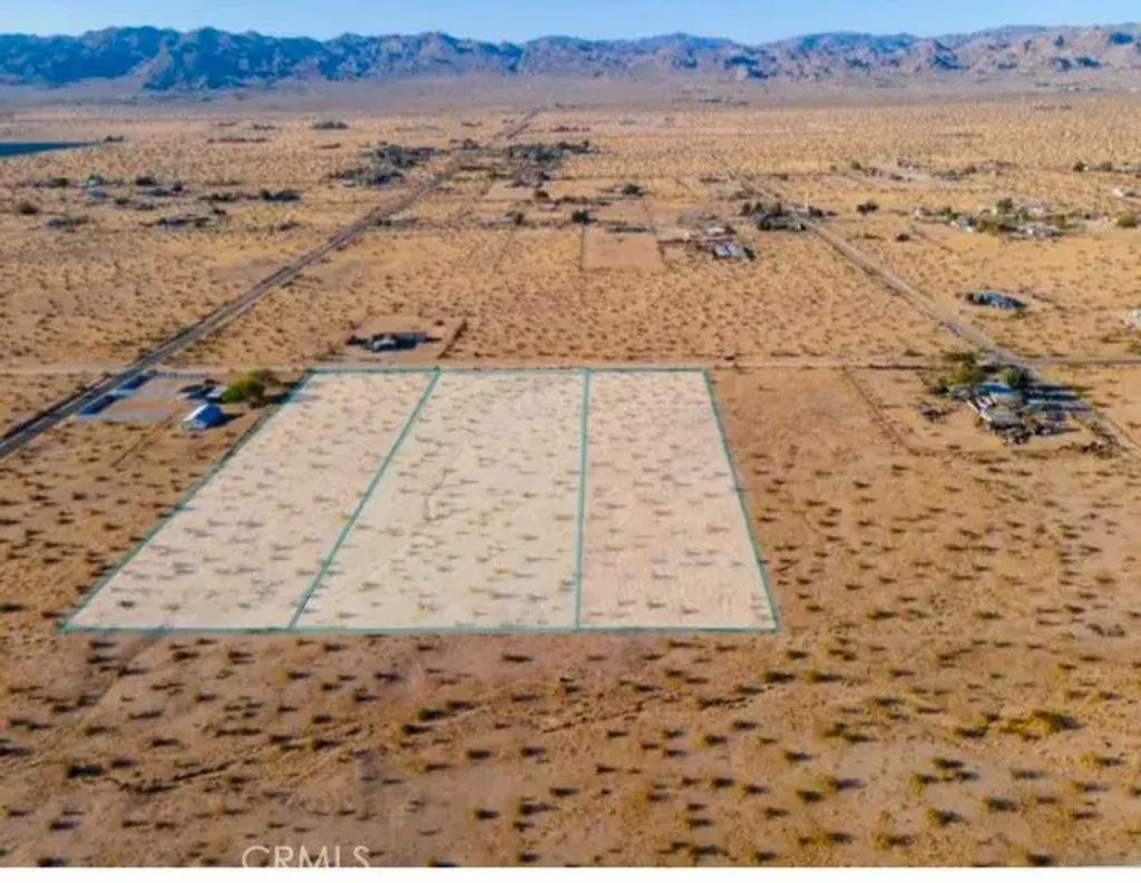 3 Sunflower, Joshua Tree