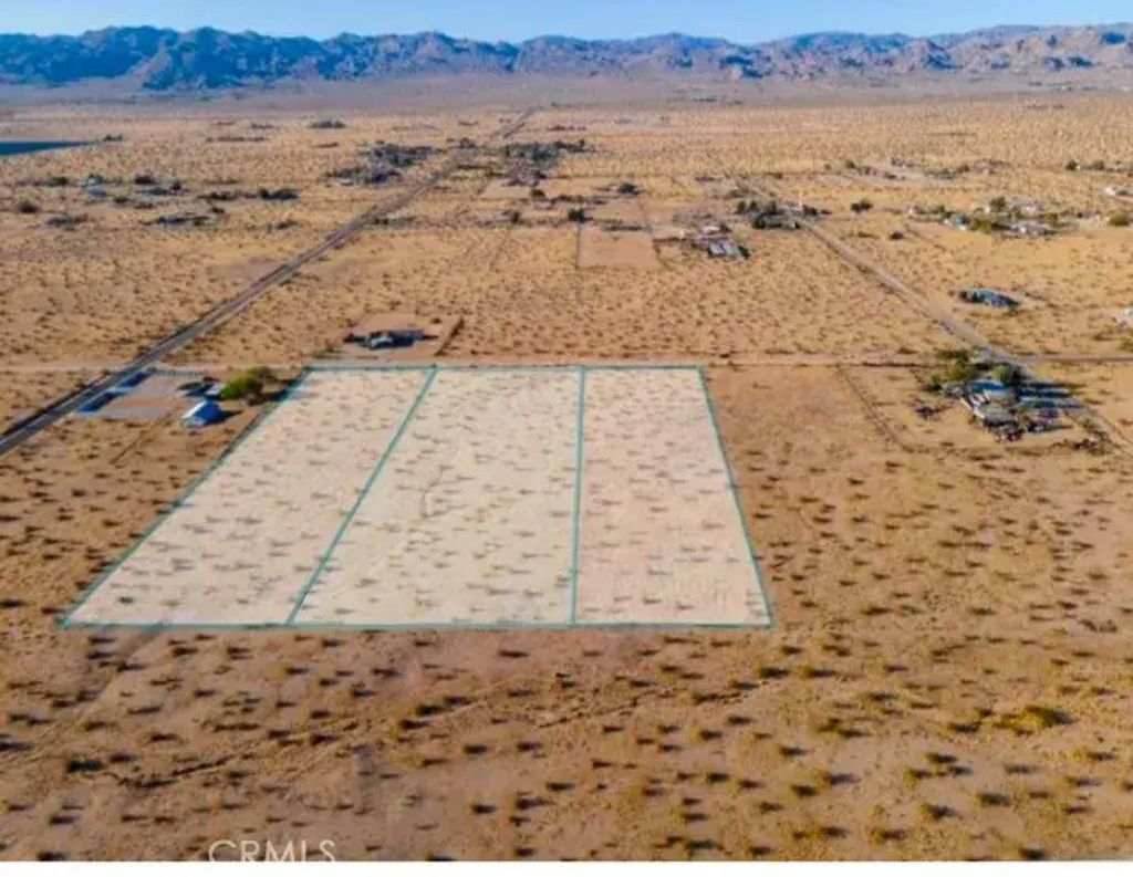 4 Sunflower, Joshua Tree