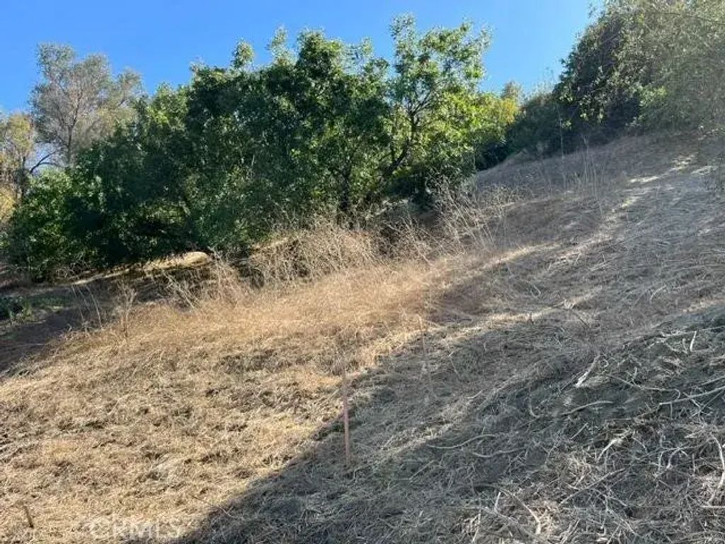 Palomar, La Habra Heights