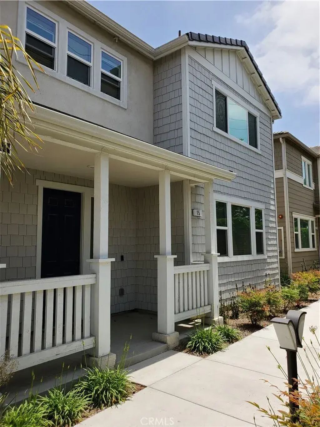 15 Gazania, Compton