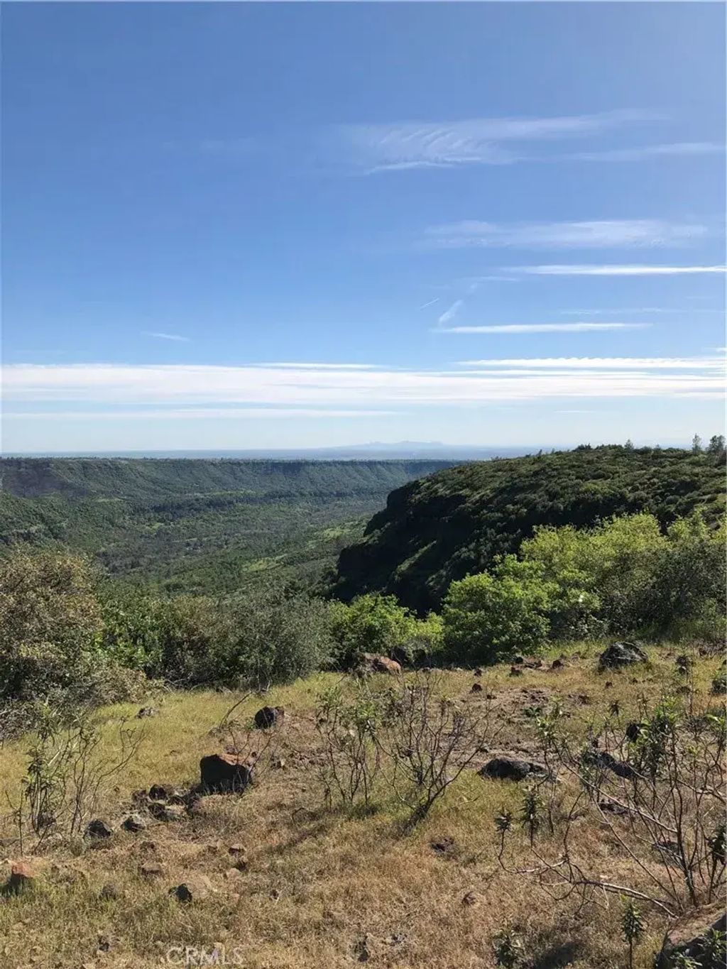 Center Gap, Chico