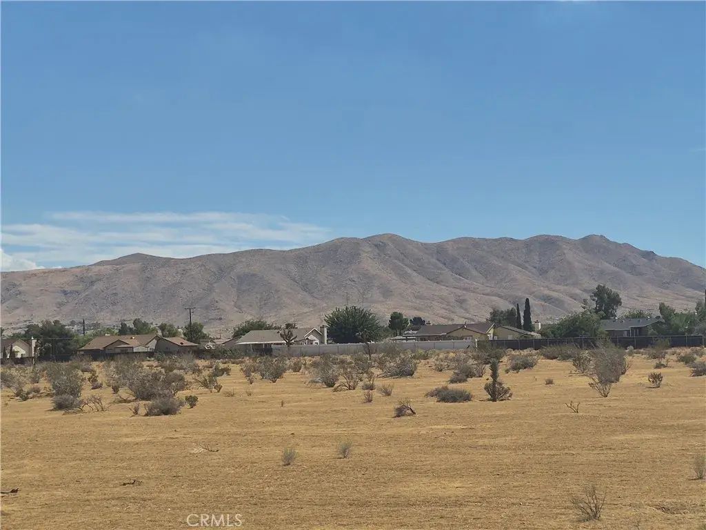 Merino, Apple Valley