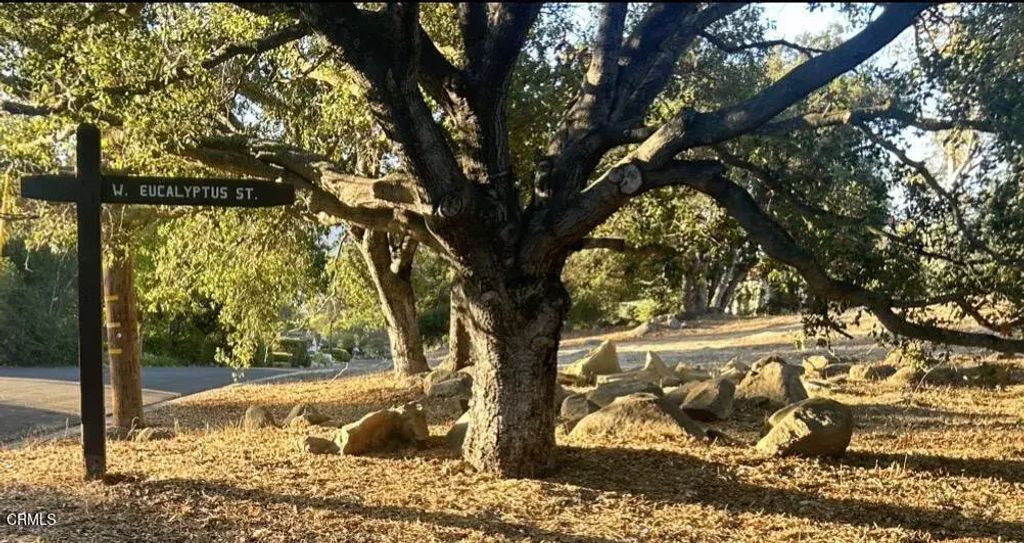 501 W Eucalyptus, Ojai