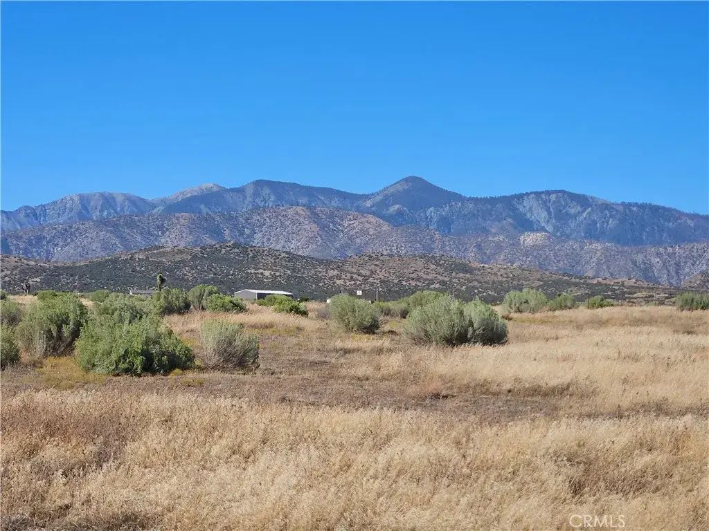 Mesquite, Phelan