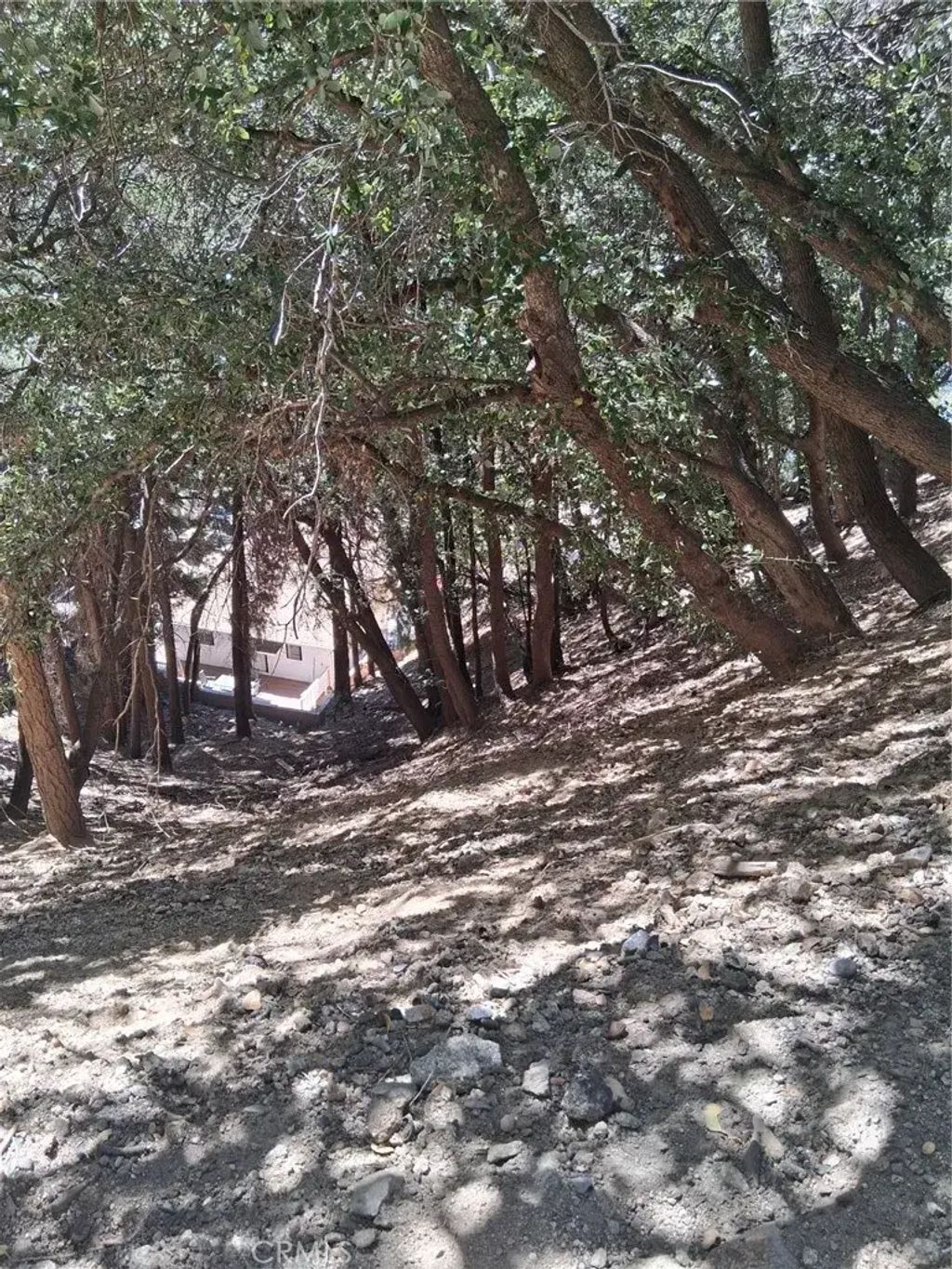 10 Delle, Crestline