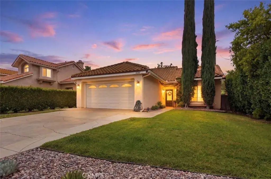40207 Mimulus, Temecula