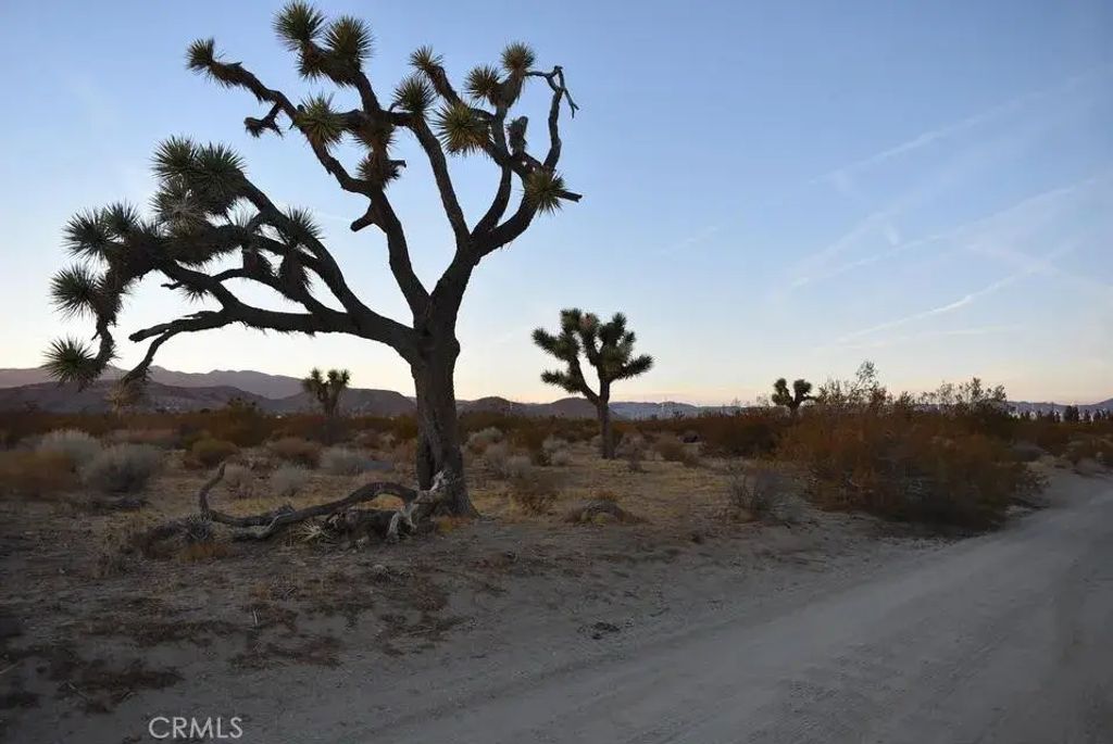 6000 W Backus, Mojave
