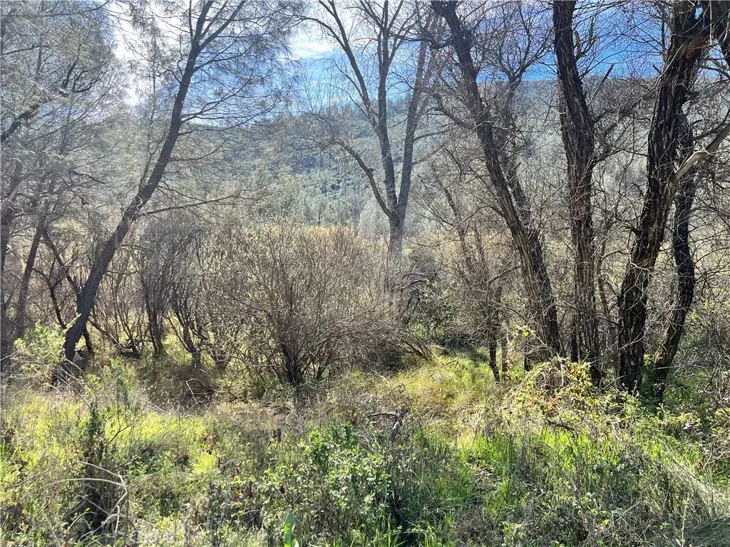 2286 New Long Valley, Clearlake Oaks