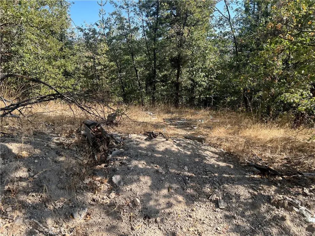 Lone Pine Dr., Arrowbear