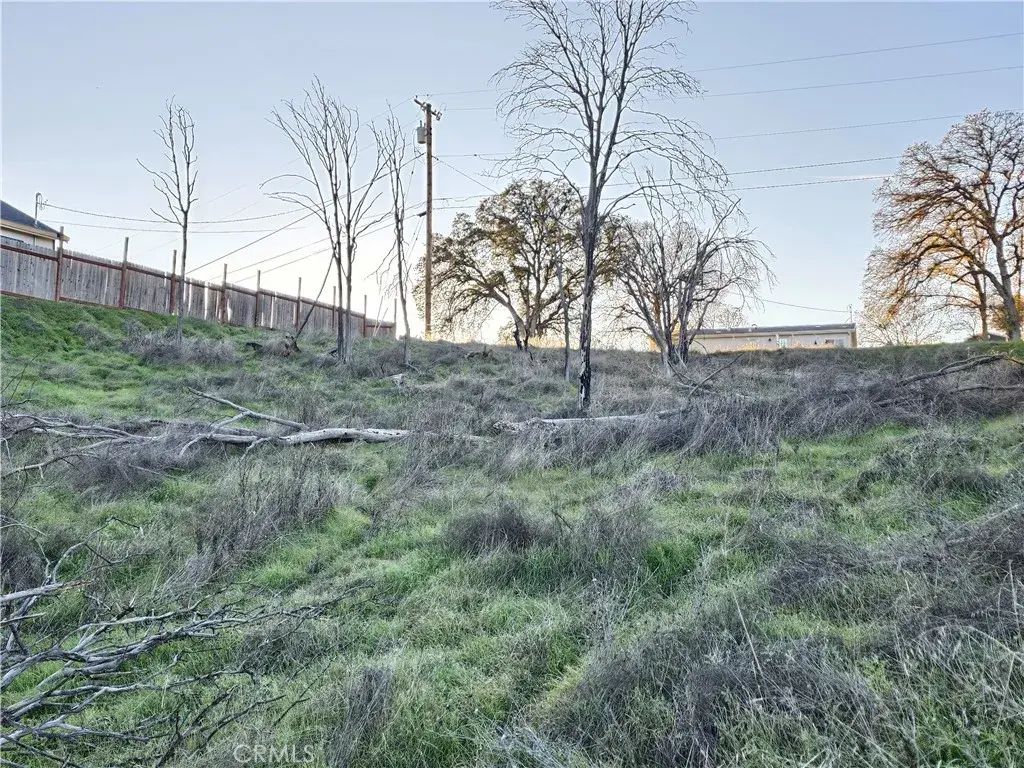 17150 Deer Park, Lower Lake