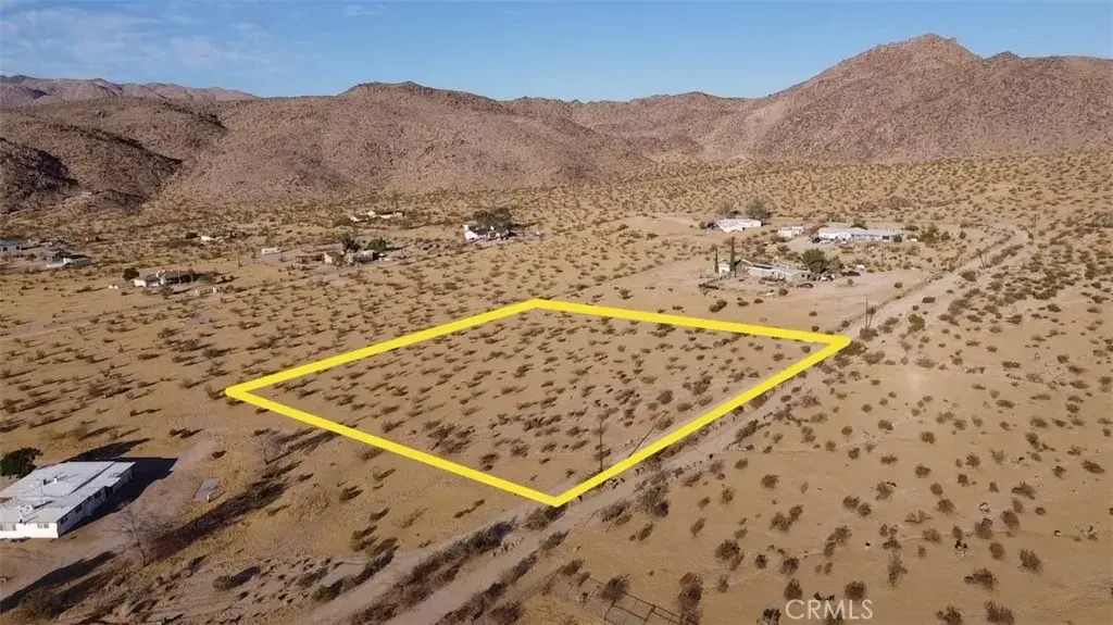61769 Cowan, Joshua Tree