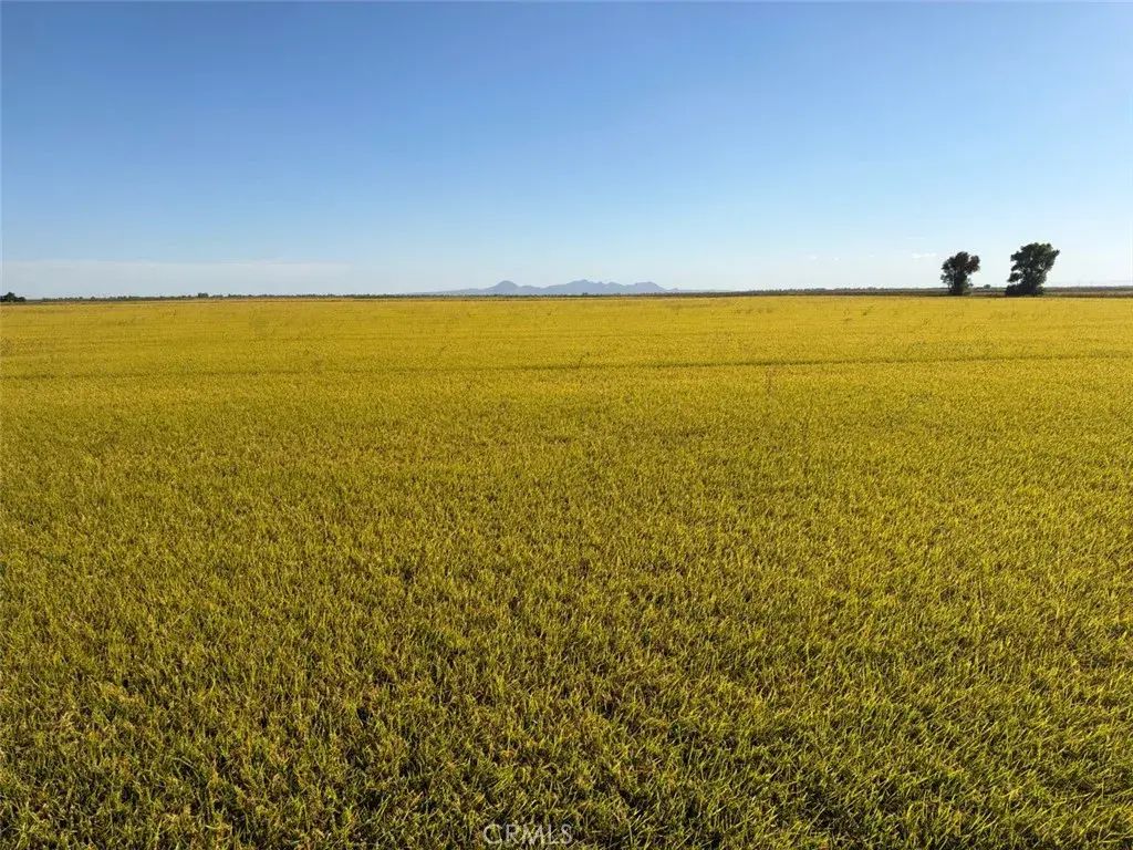 Lofgren, Richvale