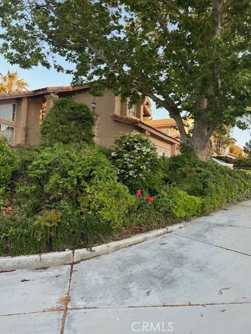 30103 Desert Rose, Castaic