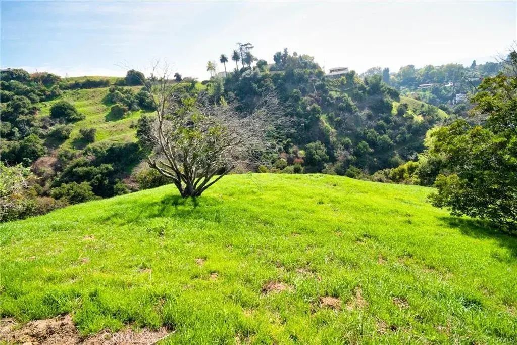 Airoso, La Habra Heights