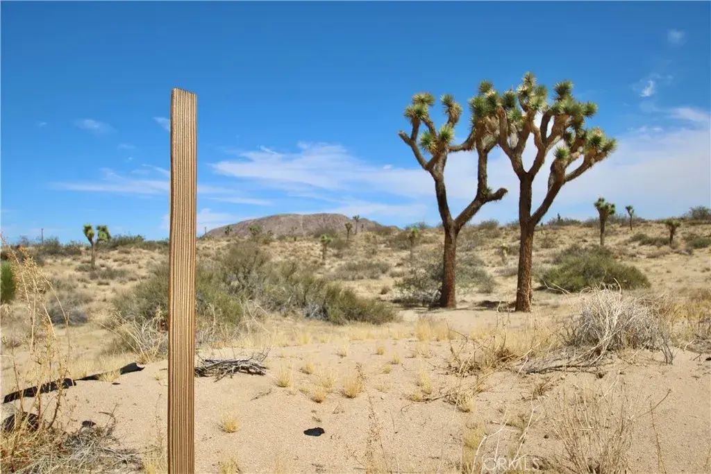 Pine, Landers