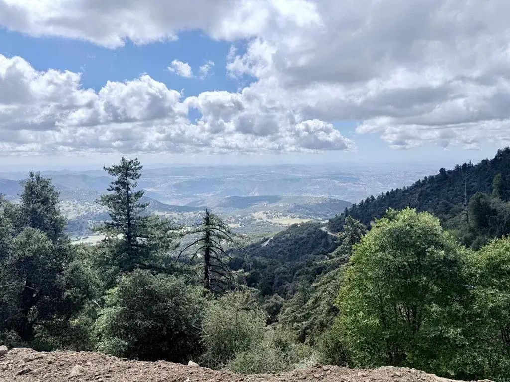 32900 South Grade, Palomar Mountain