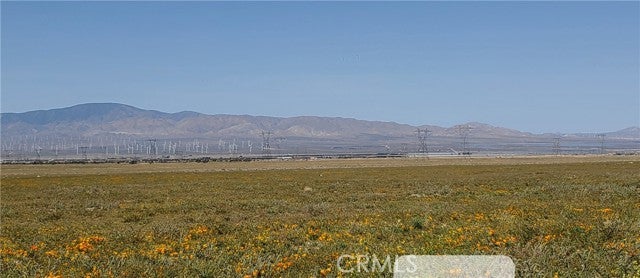 Photo of Listing #DW24155870