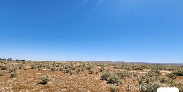 Photo of Listing #DW24156545