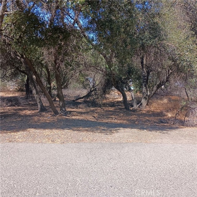 Photo of Listing #LC24167743