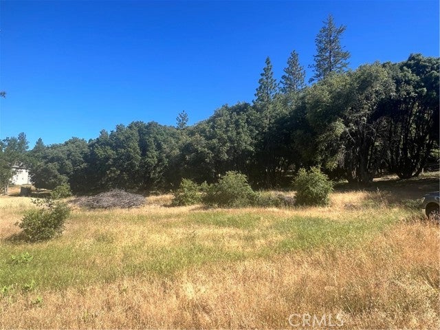 Photo of Listing #MP24115400