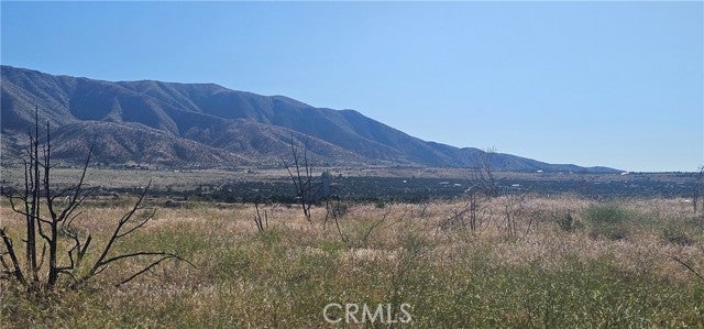 Photo of Listing #SR24108788