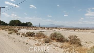 Photo of Listing #SR24150451