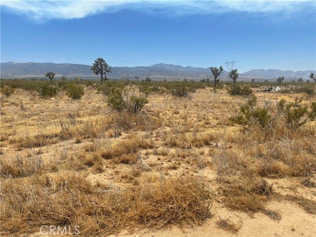 Photo of Listing #SR24151628