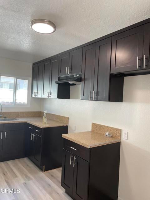 Photo of Listing #V1-20569