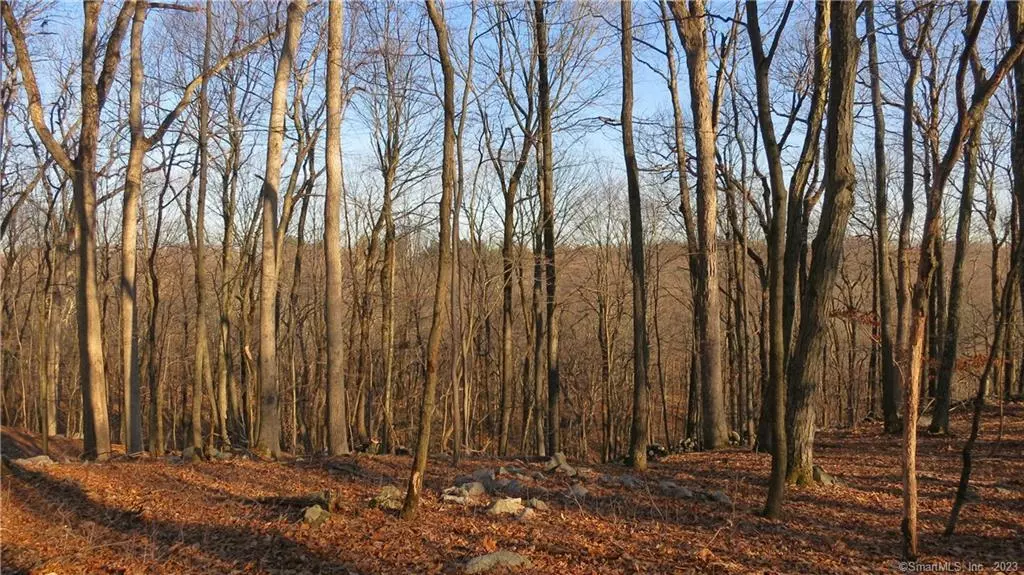 67 Umpawaug Road, Redding