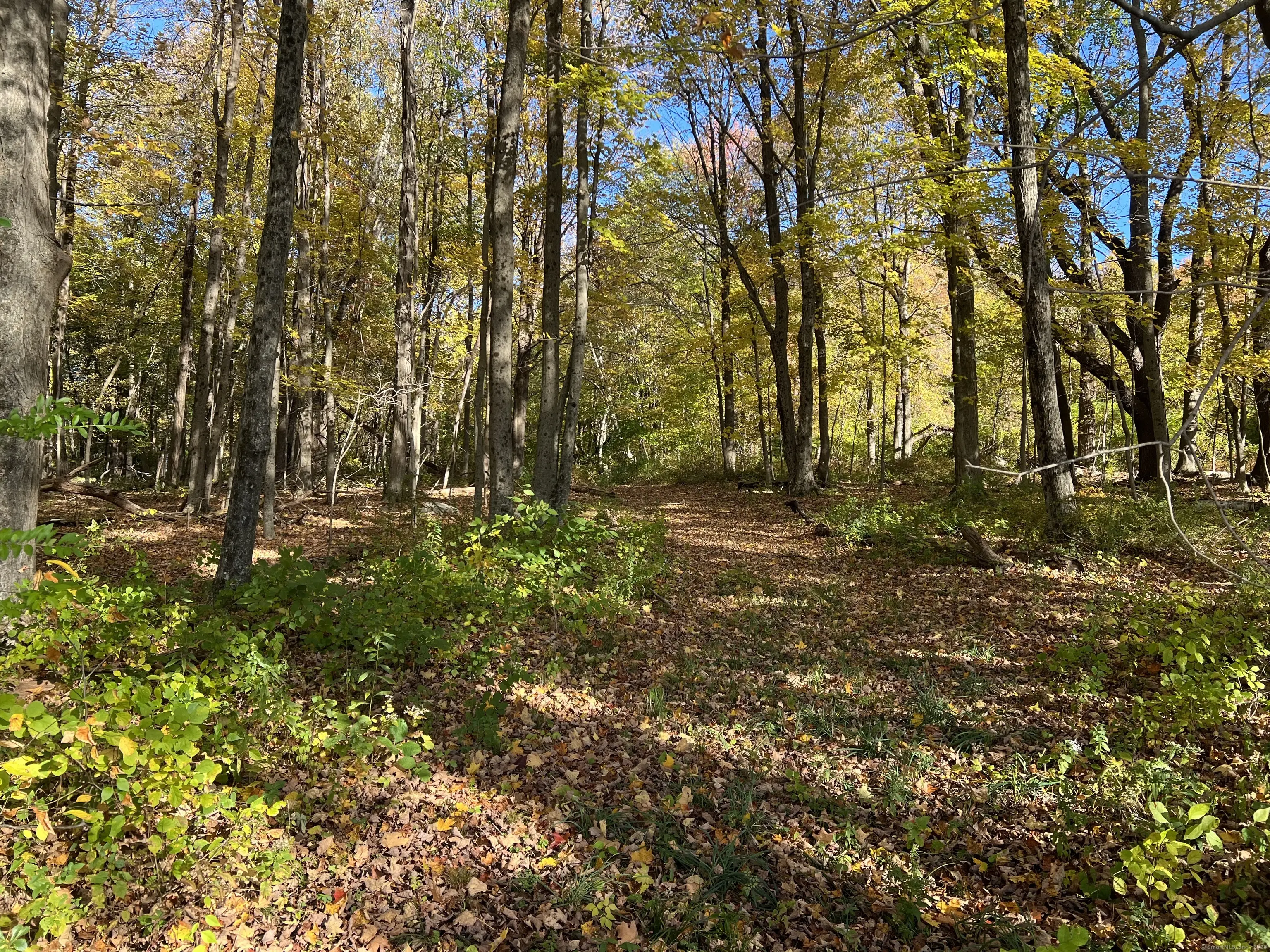 Spooner Hill Road, Kent