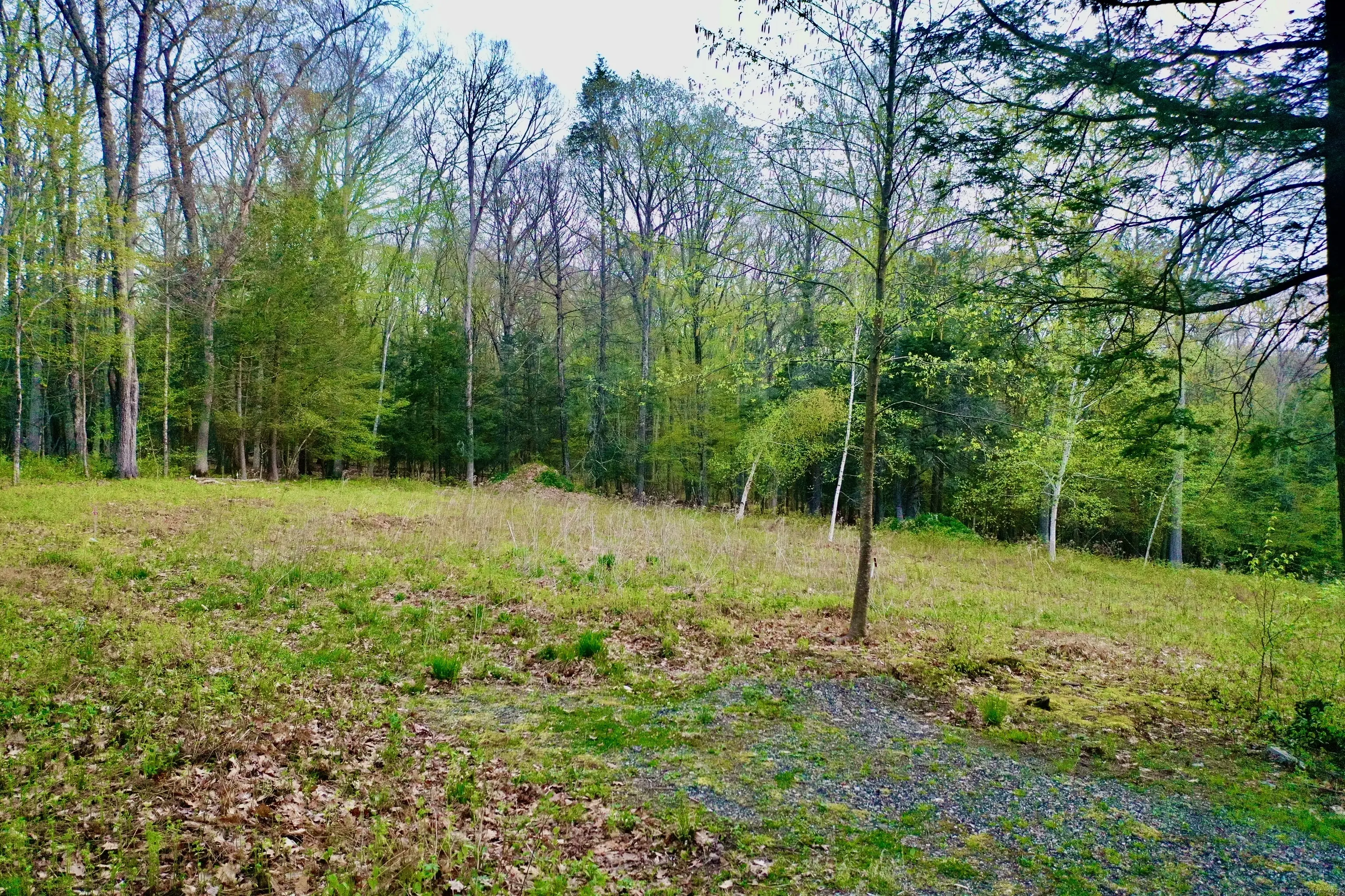 77 Belgo Road, Salisbury