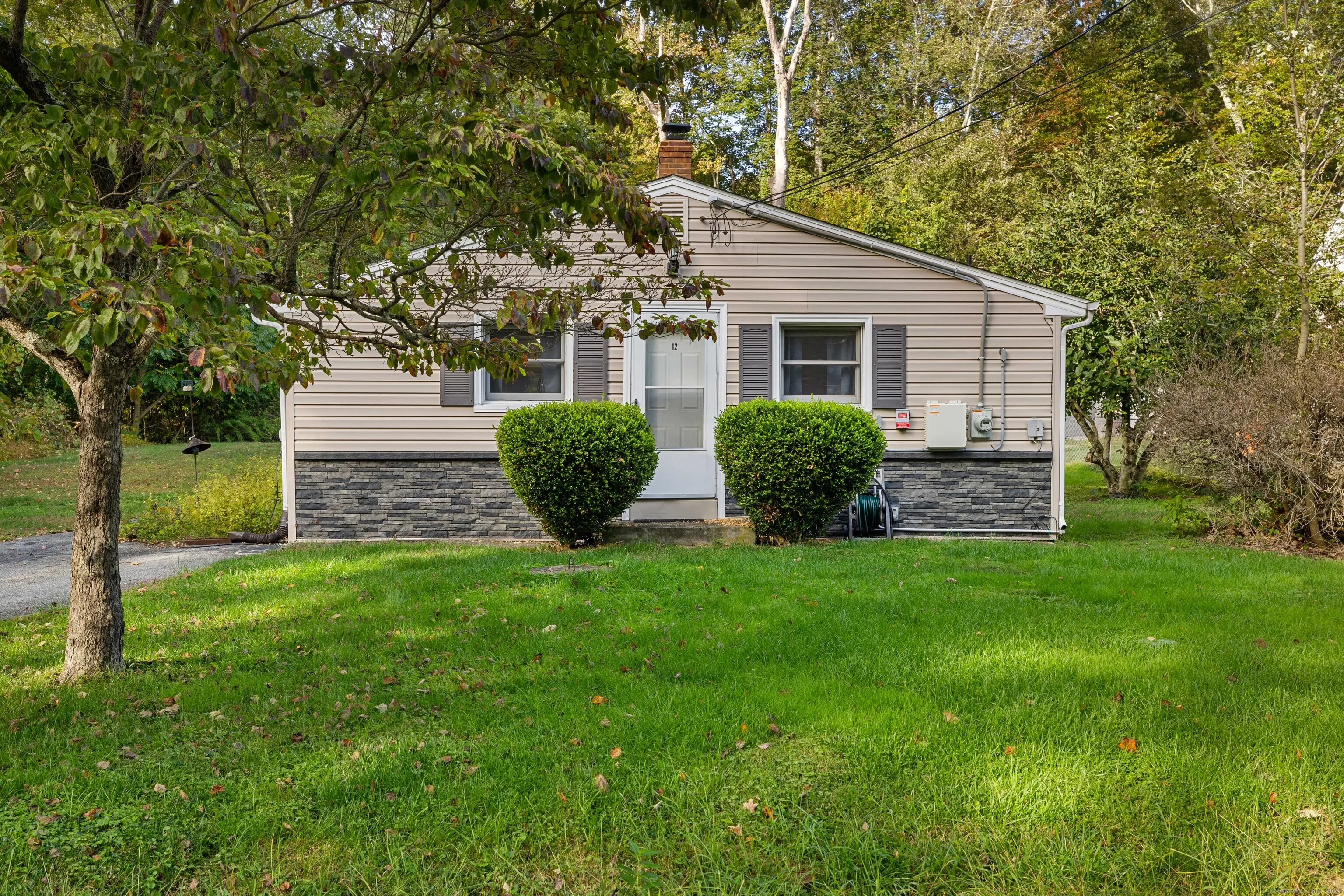 12 Pickeral Drive, Colchester