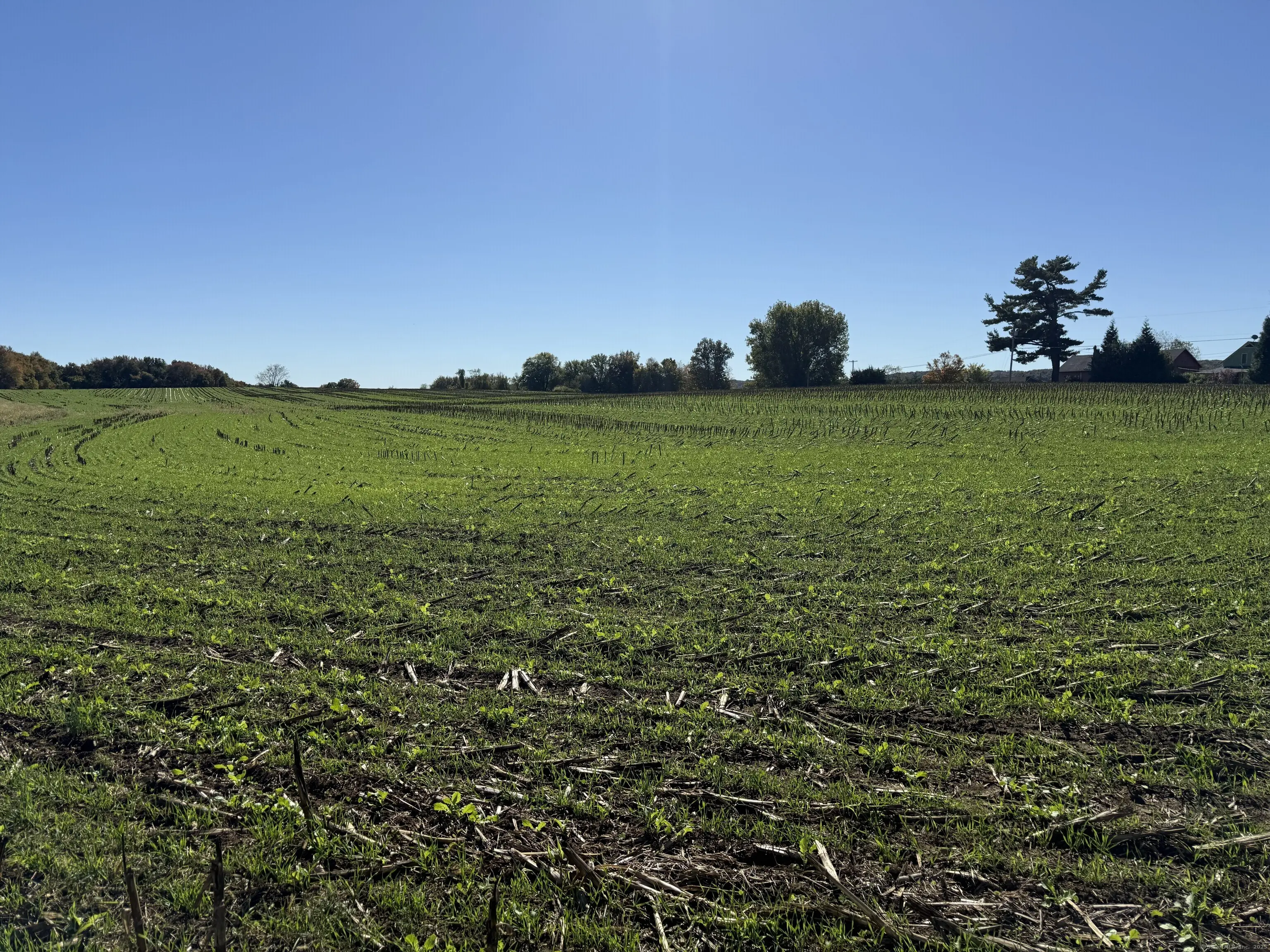 20 Holton Road, Franklin