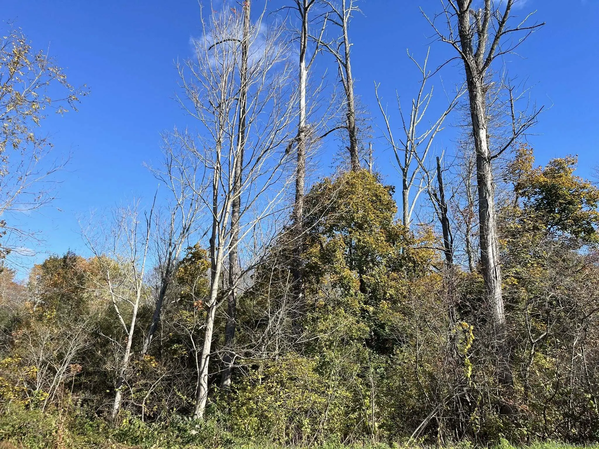 200 W. West Hill Rd Road, Barkhamsted