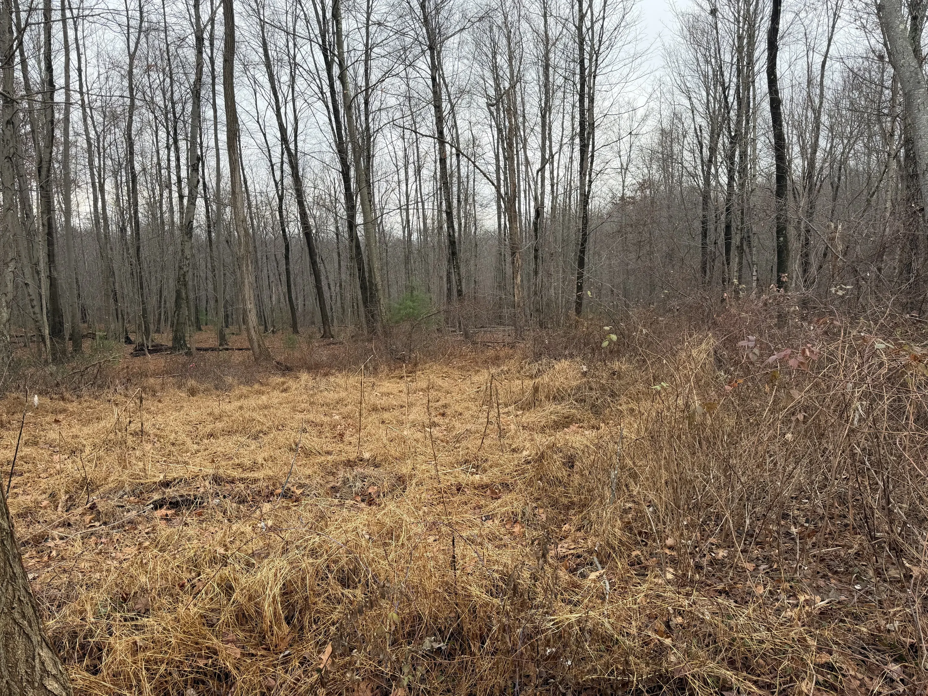 312 Merrow Road, Tolland