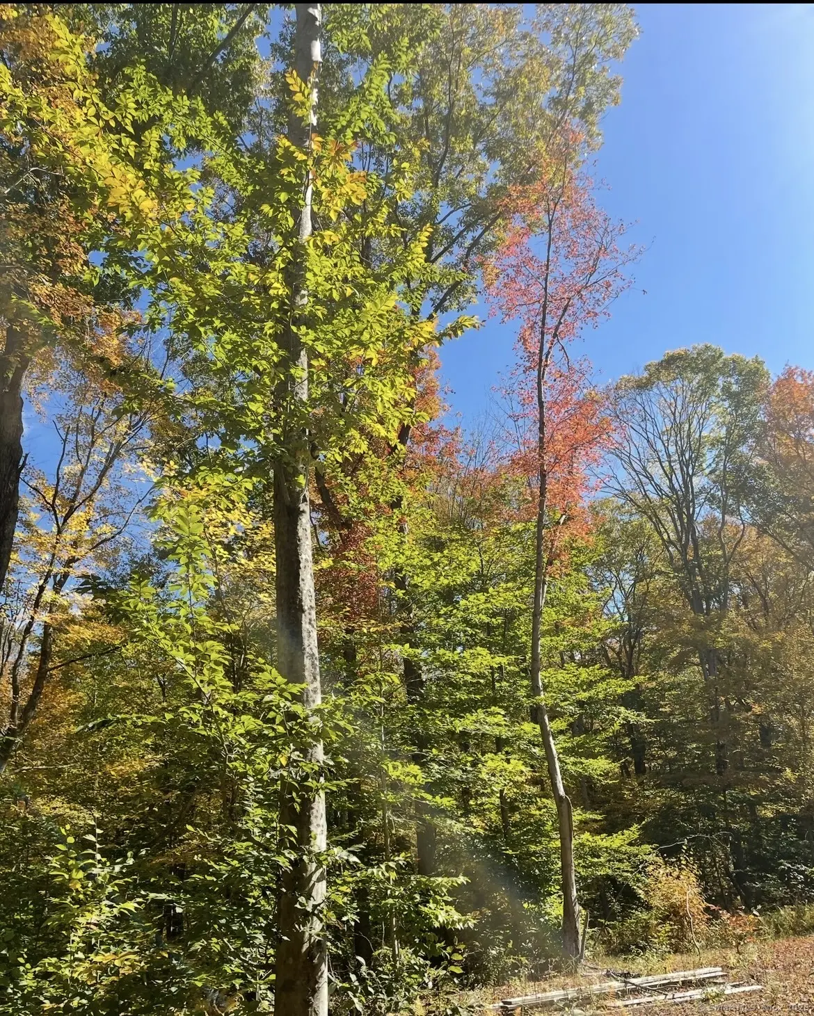 Brook Road Lot 4, Hampton