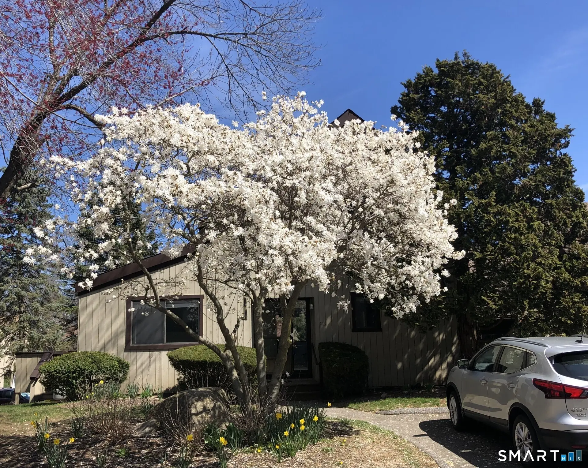 511 Opa Lane B, Stratford