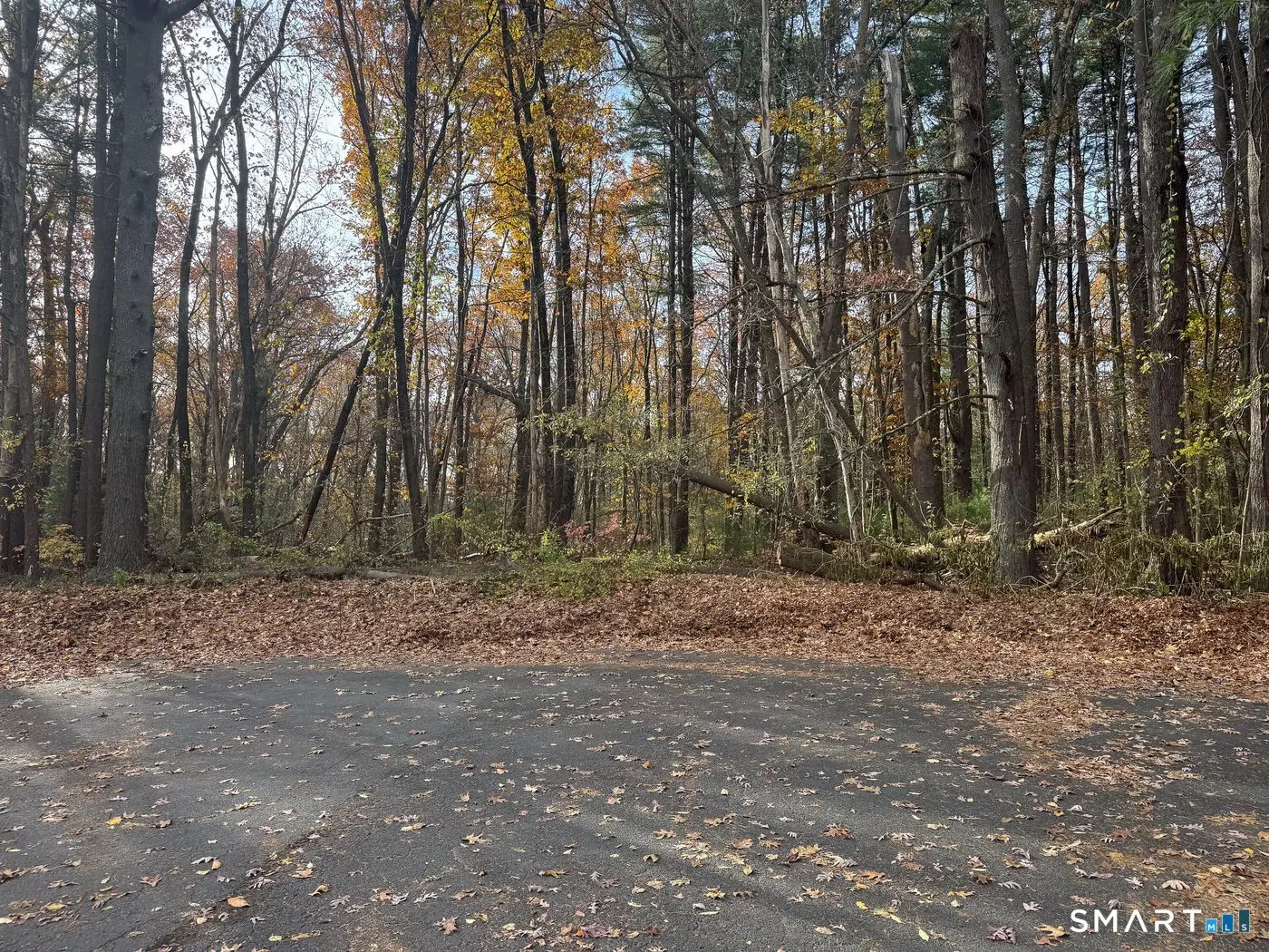 0 Walnut And Larch Drive, Windsor