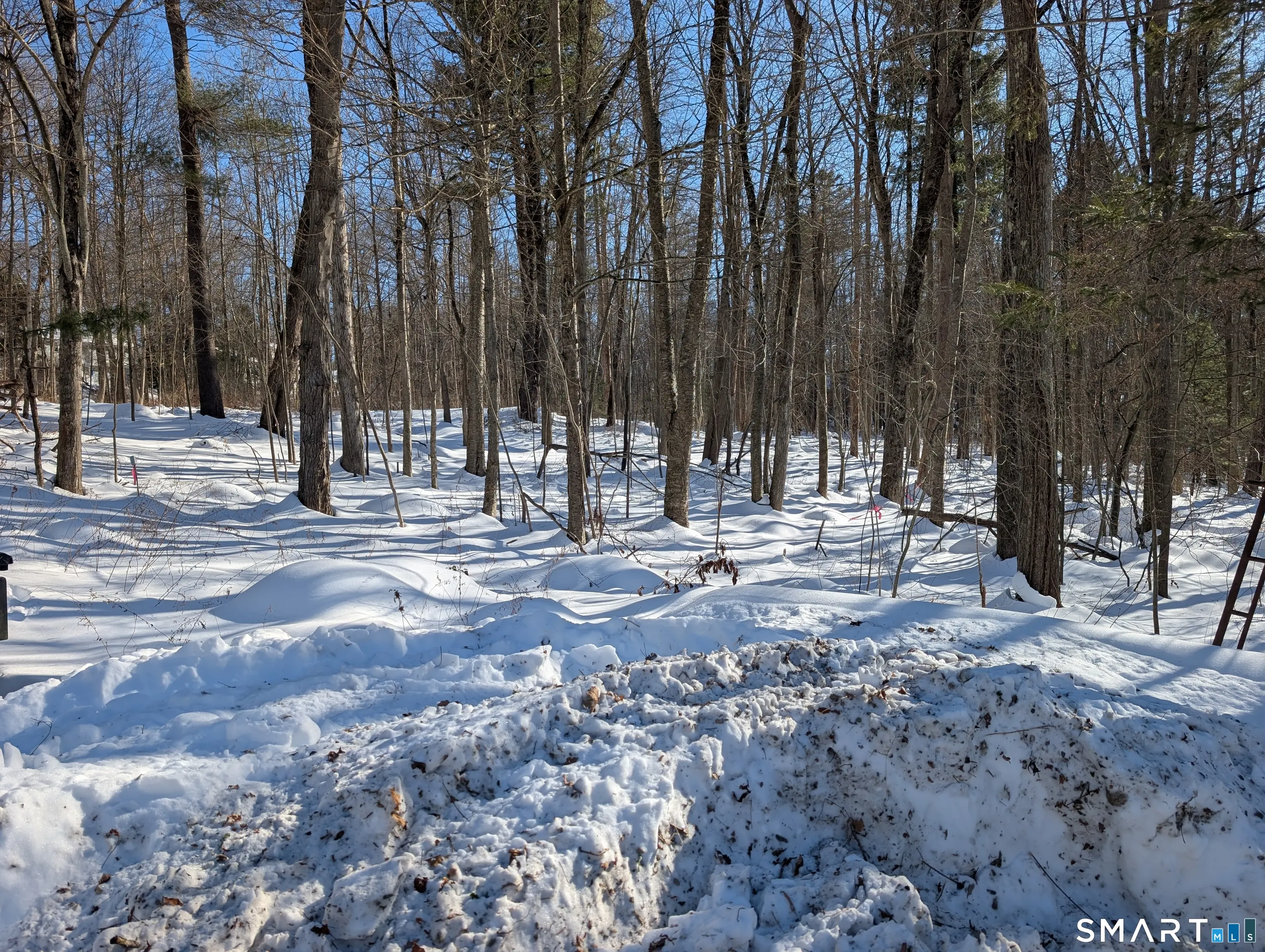 646 Torringford Street, Torrington