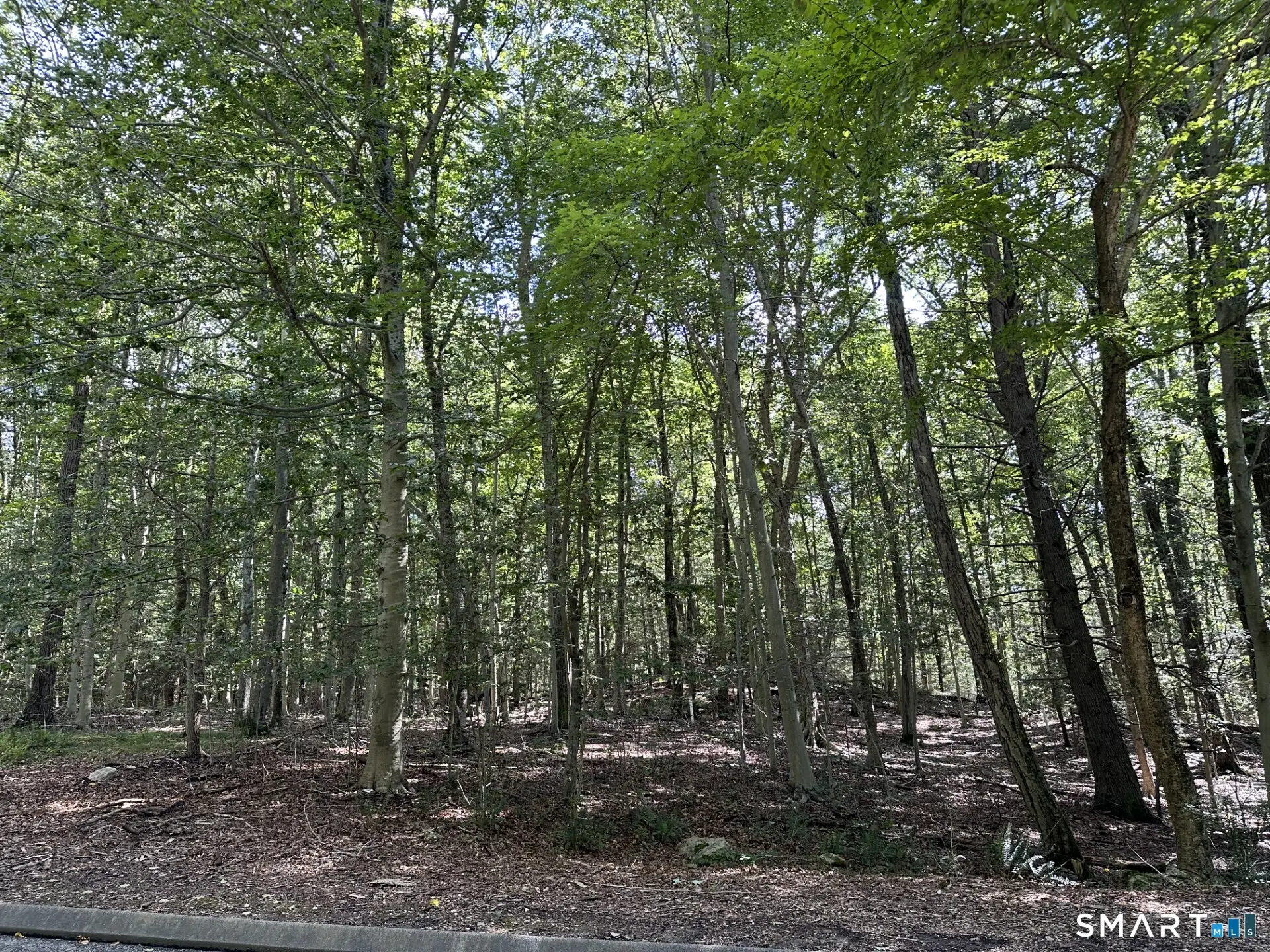 Lot #6 South Brook Drive, Stamford
