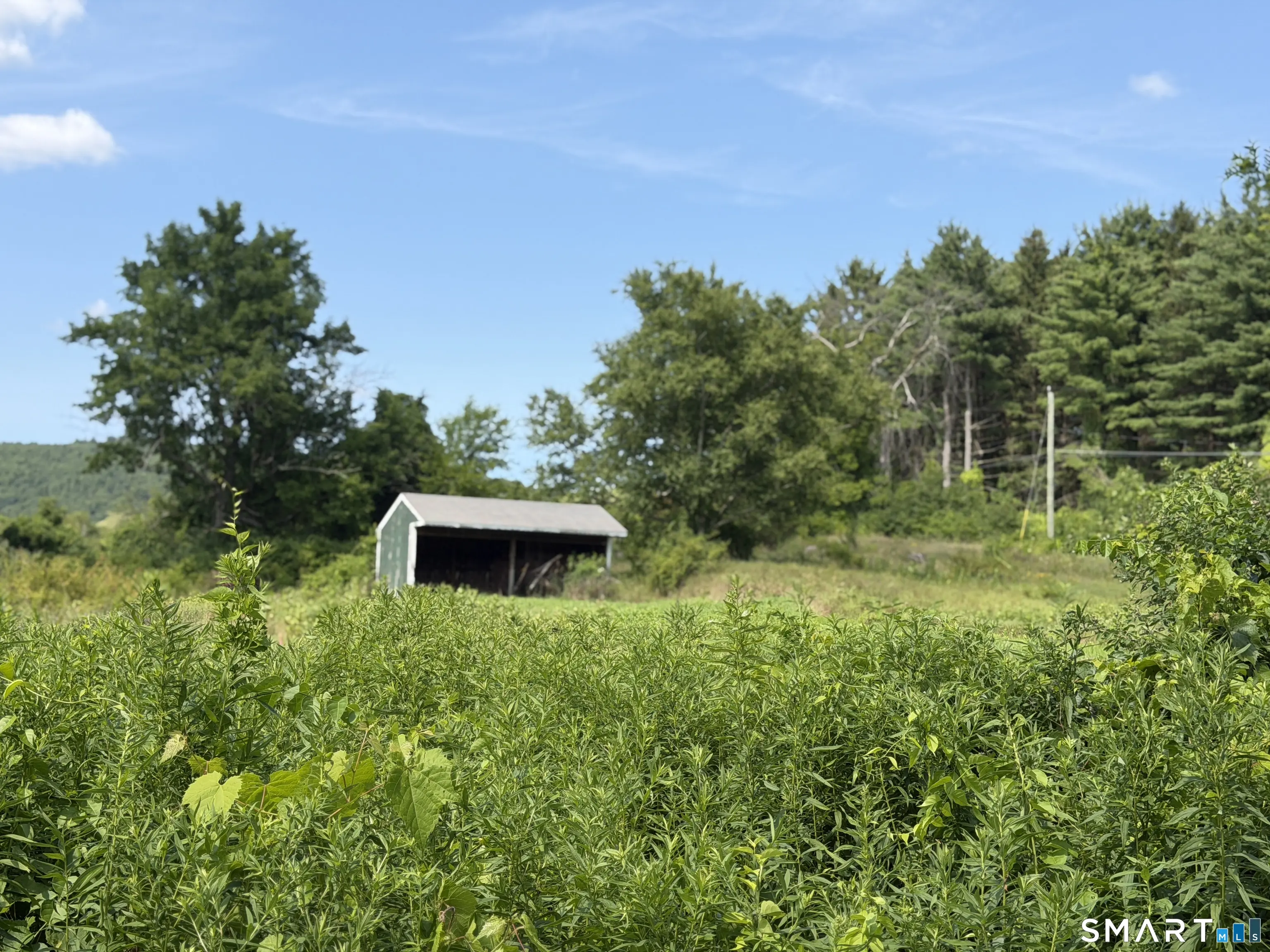 Millerton Road, Sharon