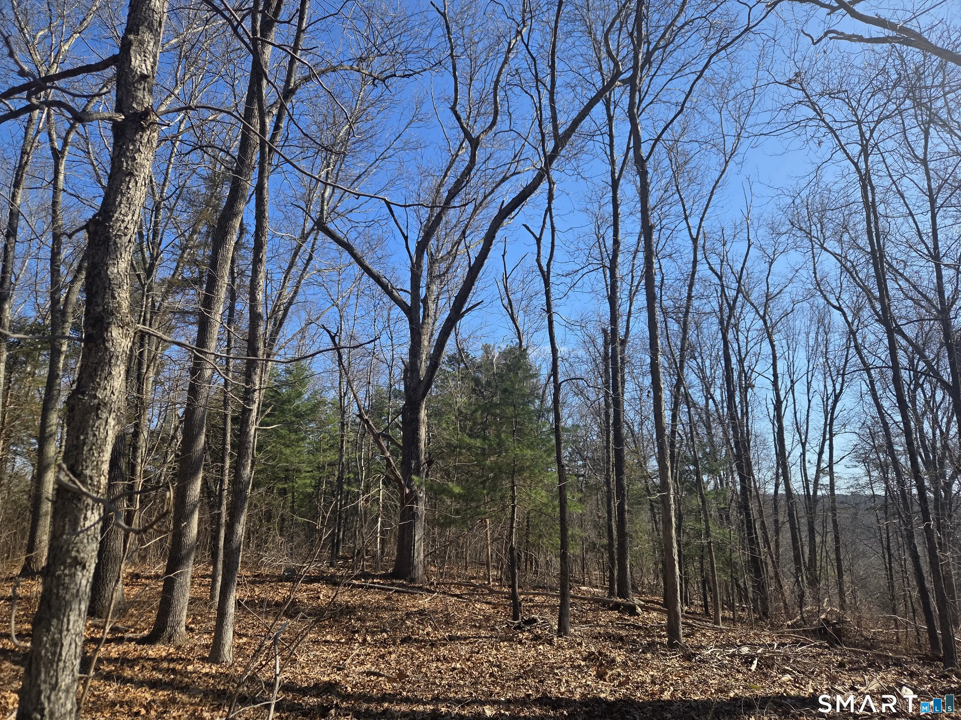 0 Green Hollow Road Road, Plainfield