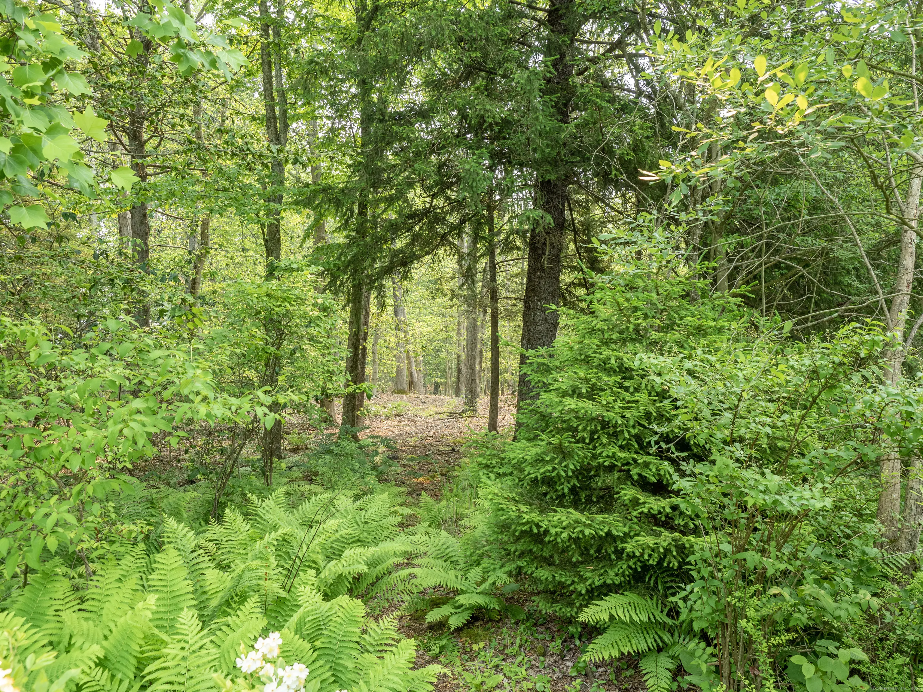 South Salem Road, Ridgefield