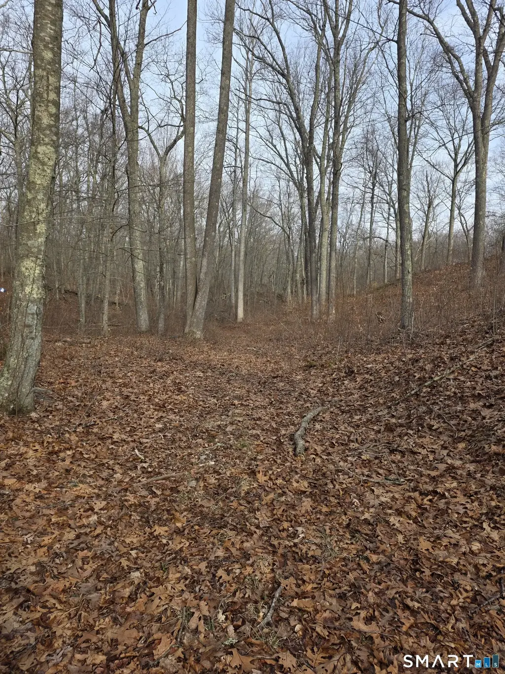 Brainard Road, Westbrook