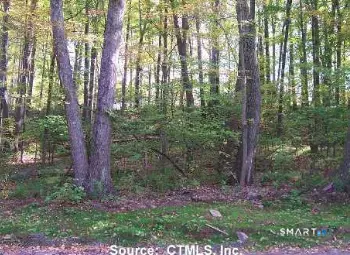 254 Stoddard Road, Morris