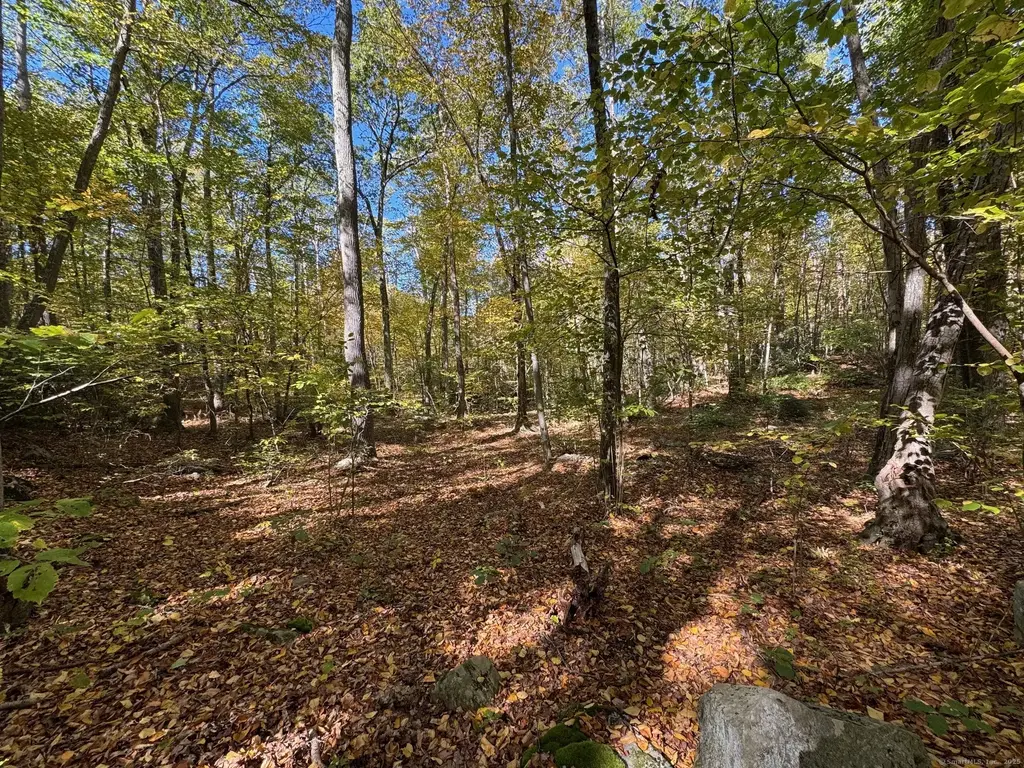 428-lot Plains Road, Haddam