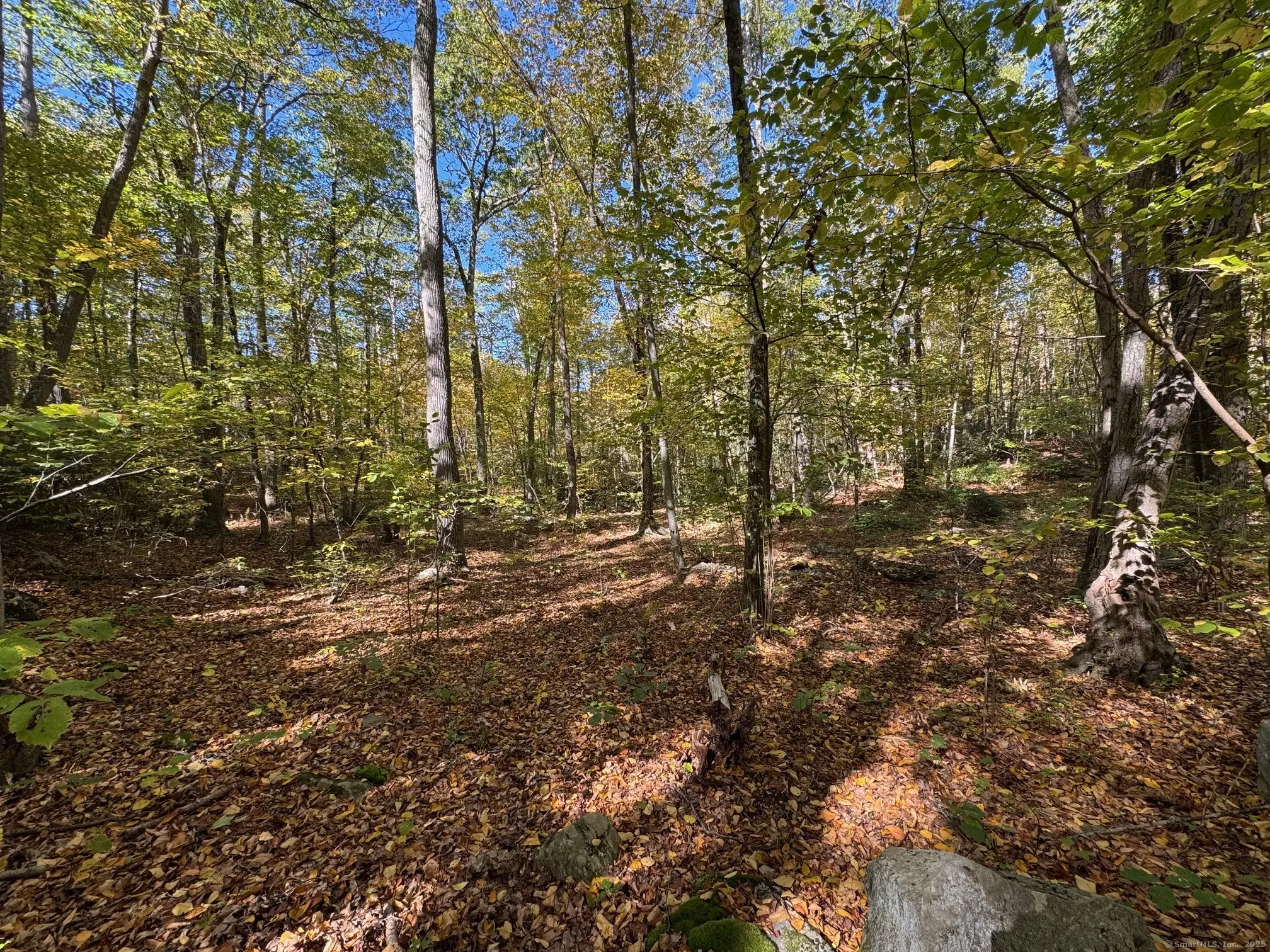 428-lot Plains Road, Haddam