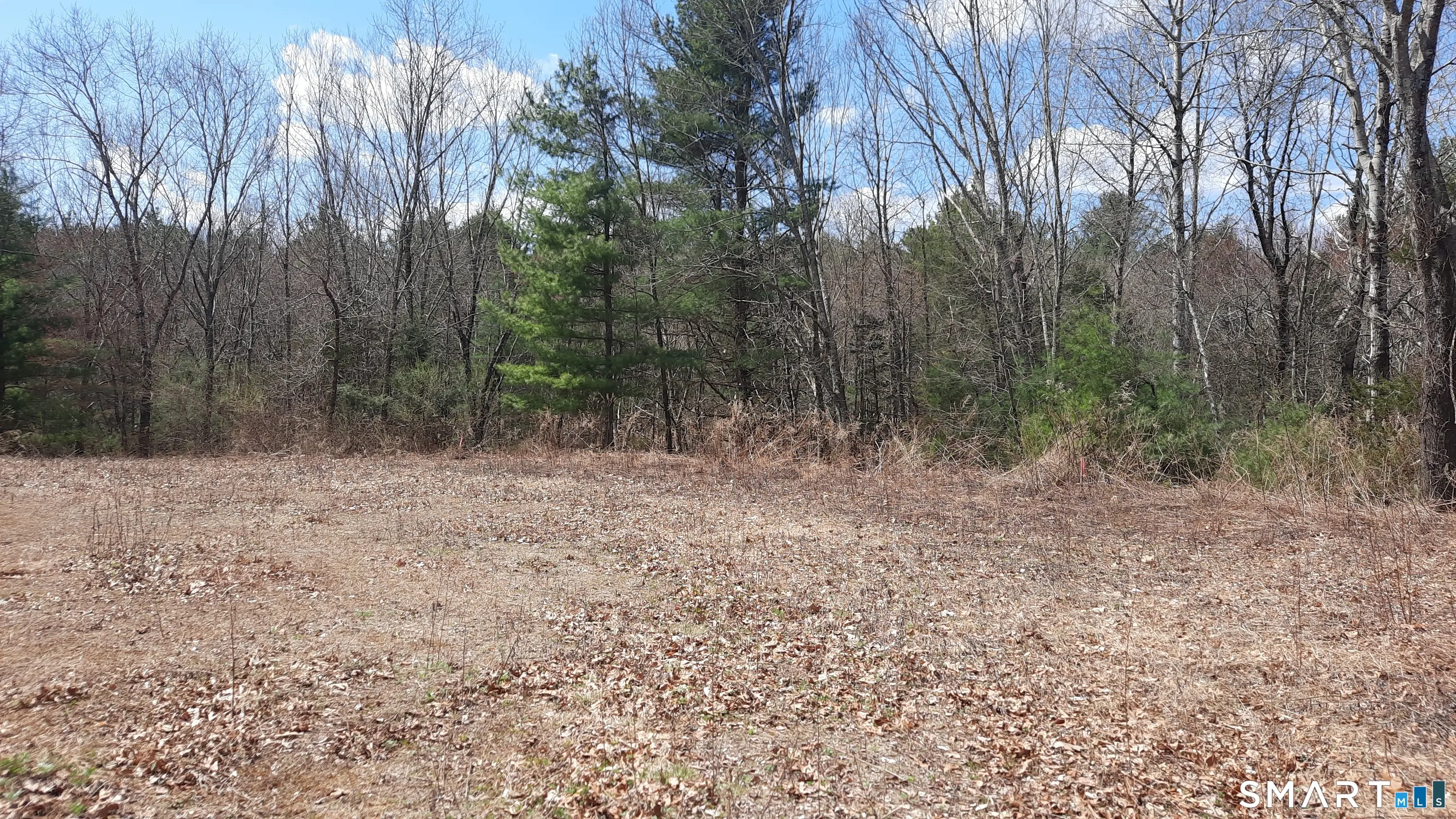 Lot 03-2 New Sweden Road, Woodstock