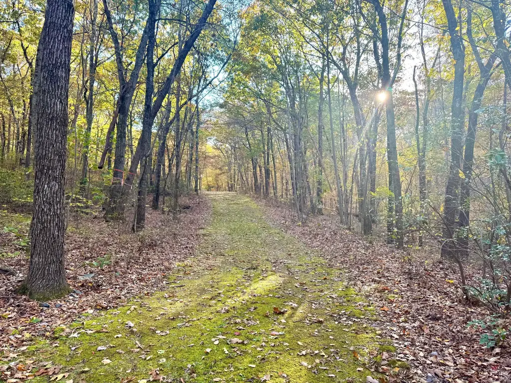 Mountain Laurel Drive, Middletown